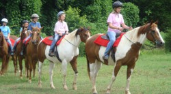 Horseback riding at Anne Springs Close Greenway
