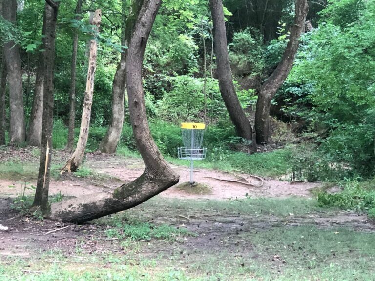 boyd hill disc golf